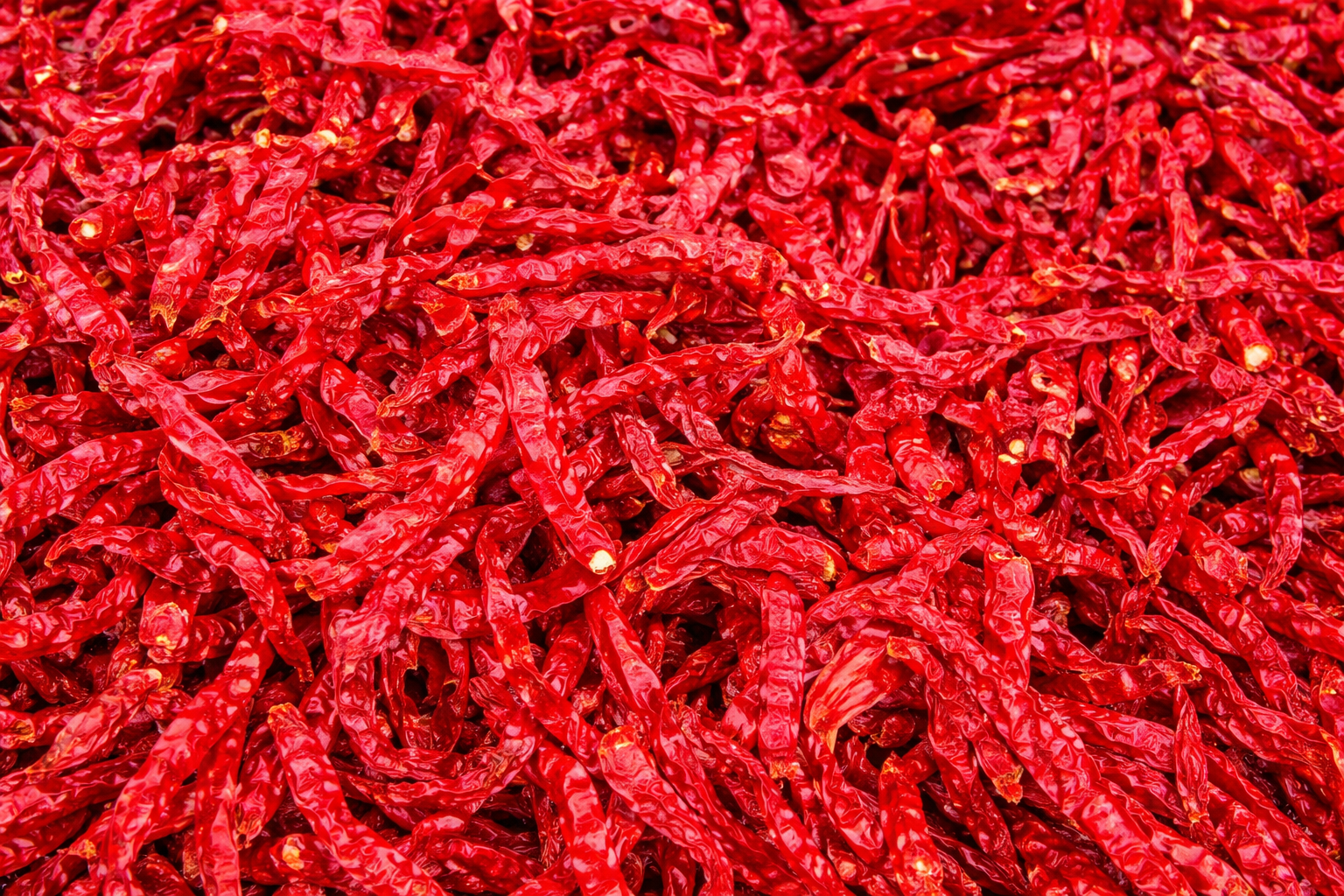 Byadgi 668 Dried Red Chillies Wrinkled Whole from India